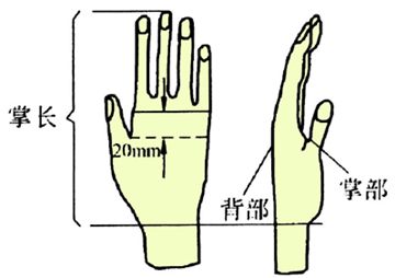 手套尺寸 手套尺寸